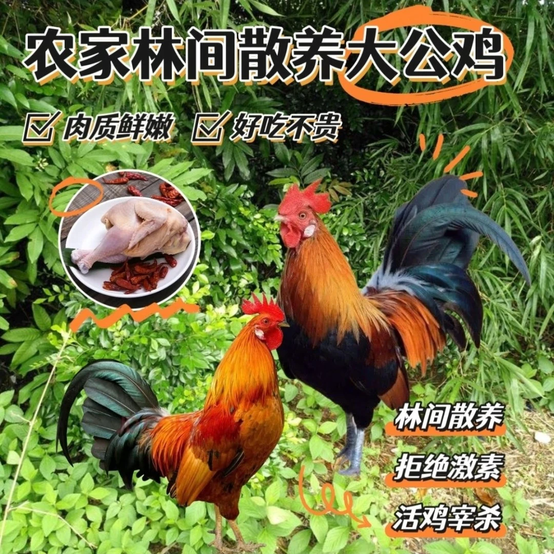 两只散养大公鸡共十斤＋一斤鸡胗共十一斤（顺丰冷链）