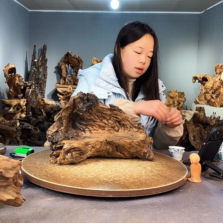 茶盏海**范430株木的随行的根艺