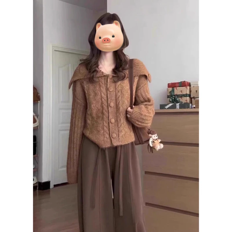 美拉德穿搭法式大翻领麻花毛衣开衫女秋冬加厚慵懒风针织外套上衣
