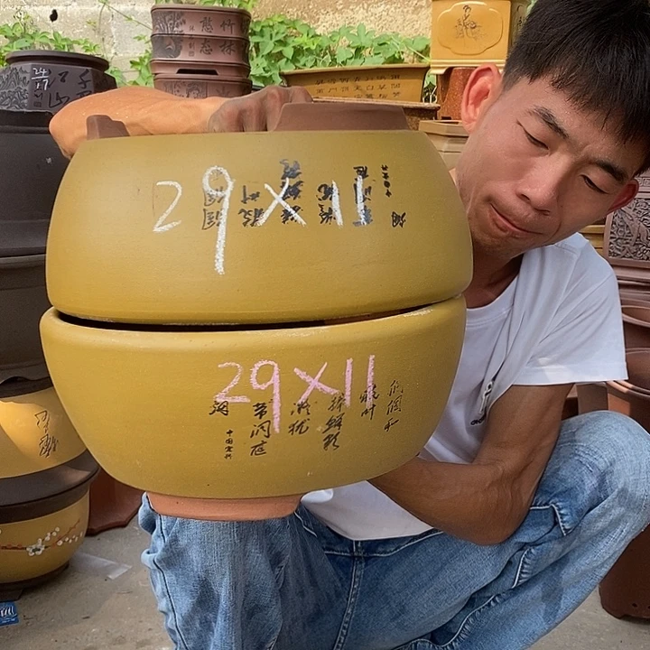 紫砂紫砂紫砂紫砂