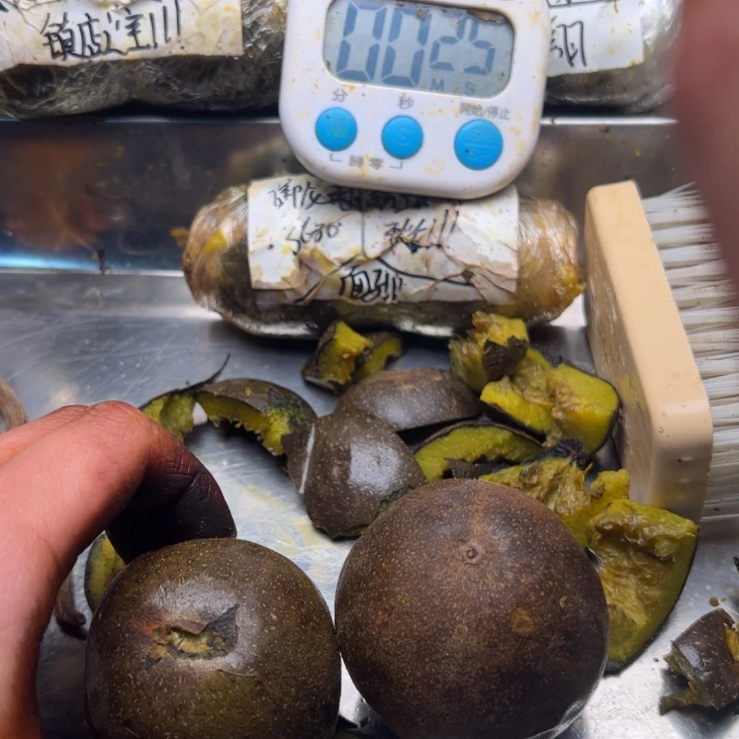 V***A许久不不不不不不不后悔