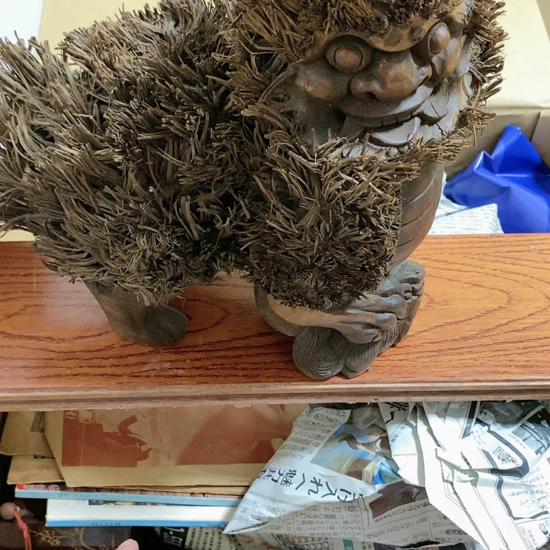 【闪购商品】欢迎大家关注