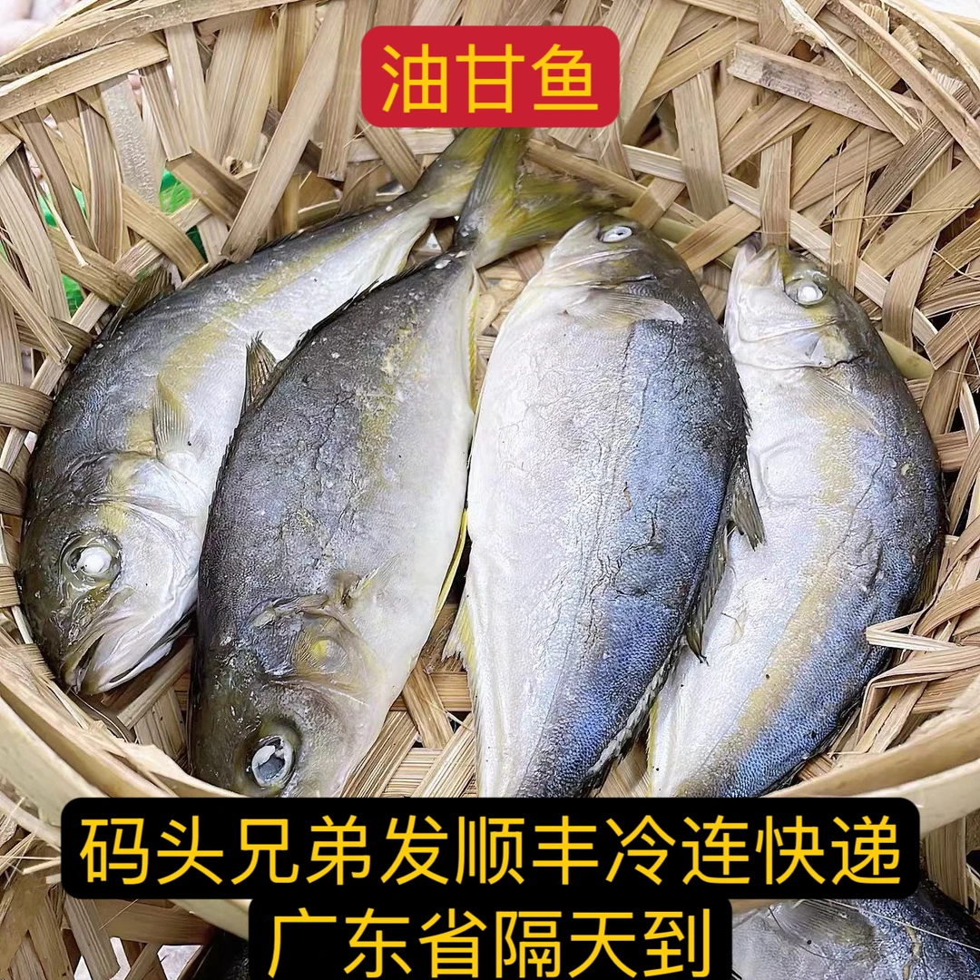 潮汕打冷油甘鱼（每日新鲜）（顺丰发货）