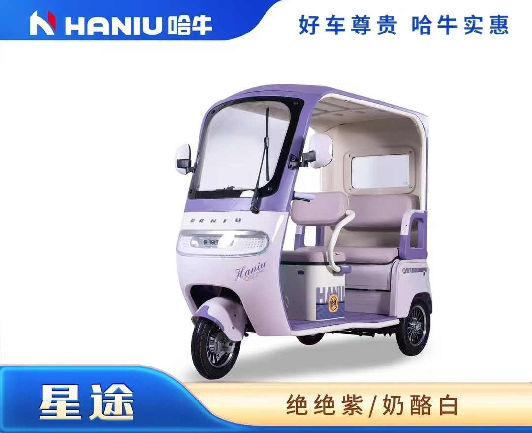 星途小型家用休闲代步一体篷车