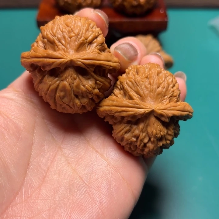 D***核桃42尺寸白狮子