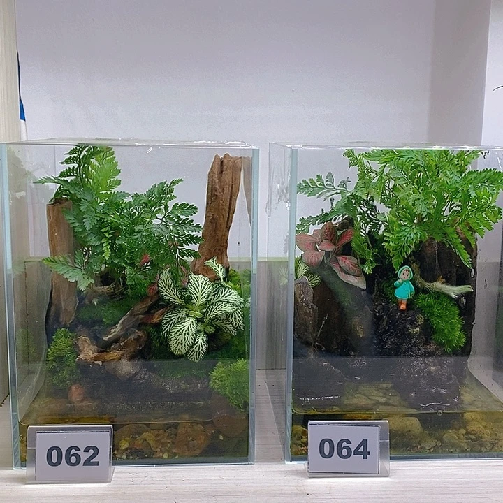 无花朵下播福利活动