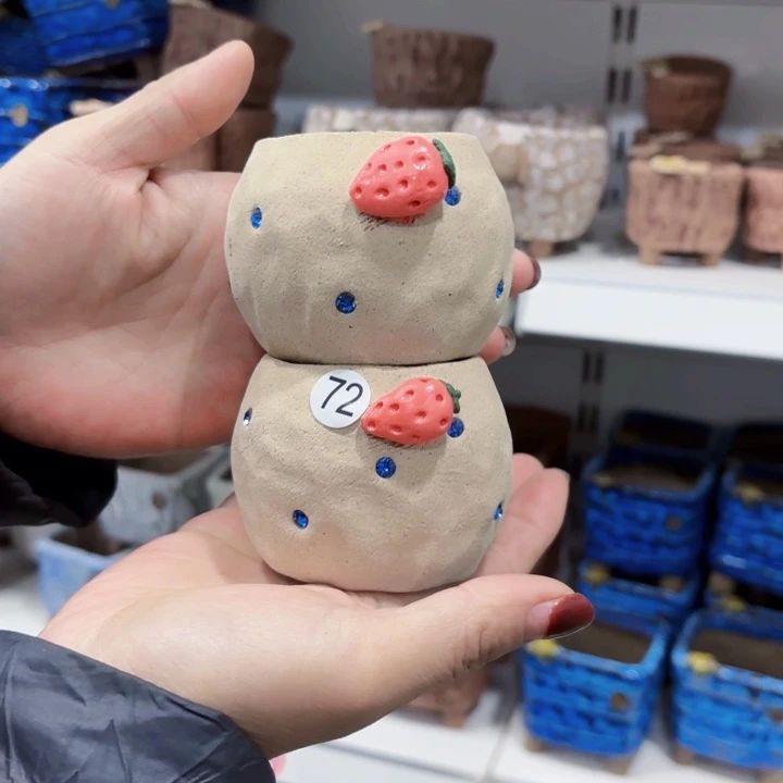 红陶龙*豆内口左右有