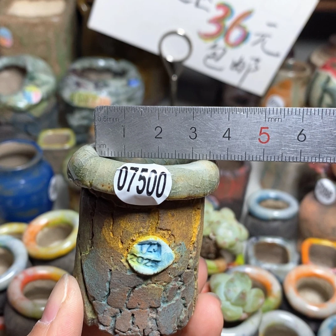 花盆拍3送一个小礼物