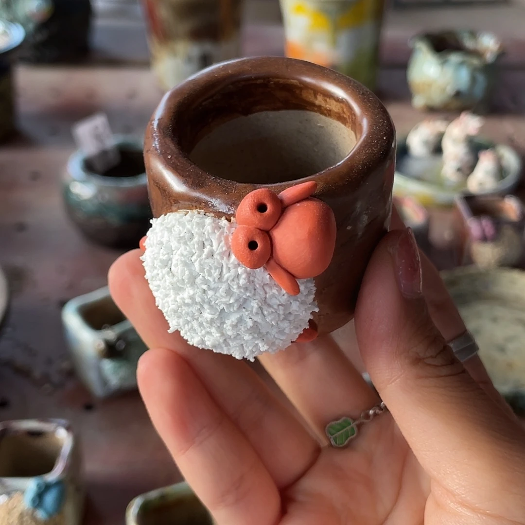 小白孤品 小羊圆 内口3.5左右