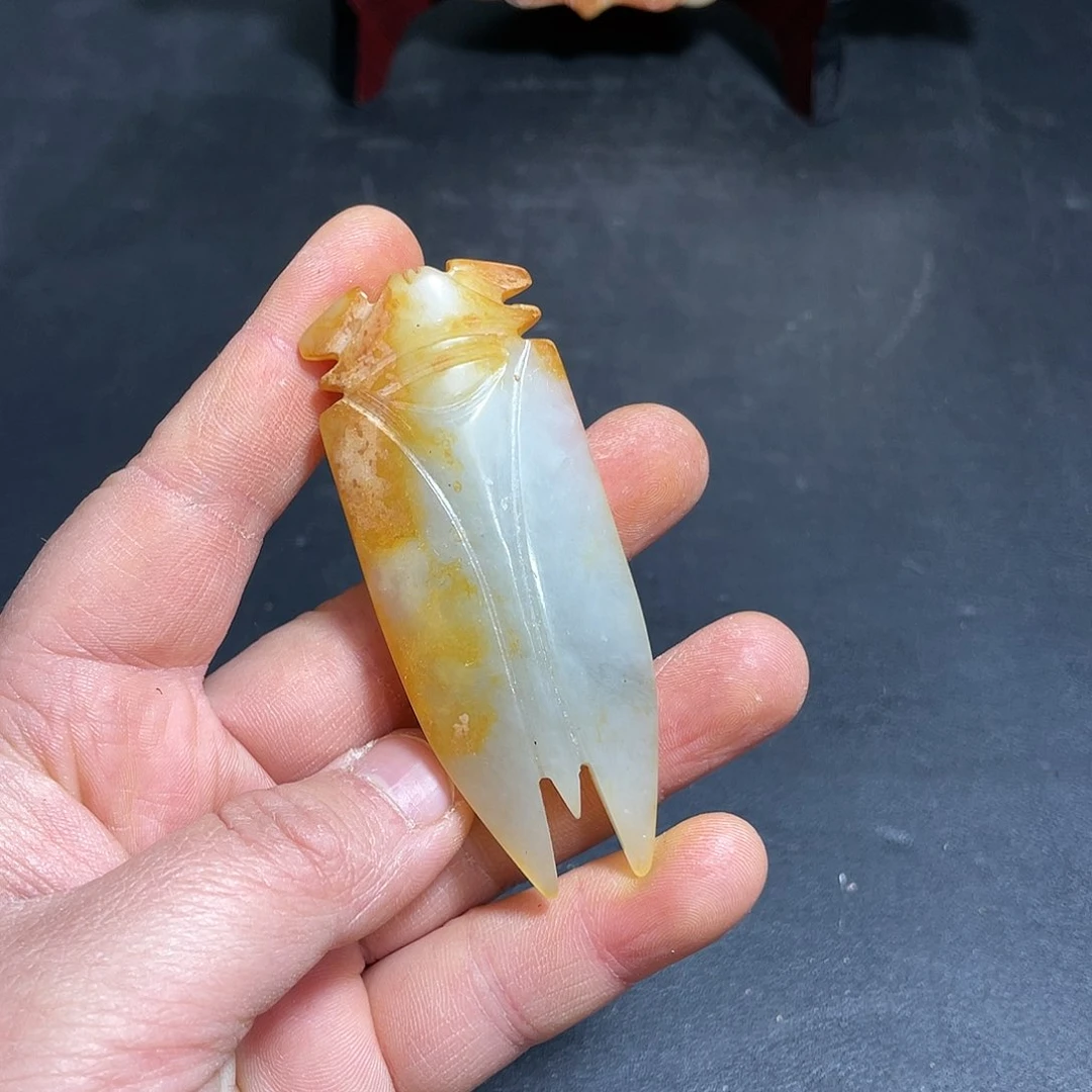 官方链接下单放心拍