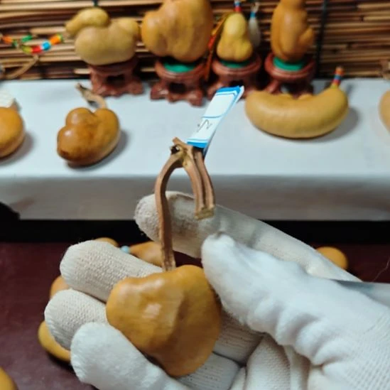 小***～精品土豆葫芦一物一拍