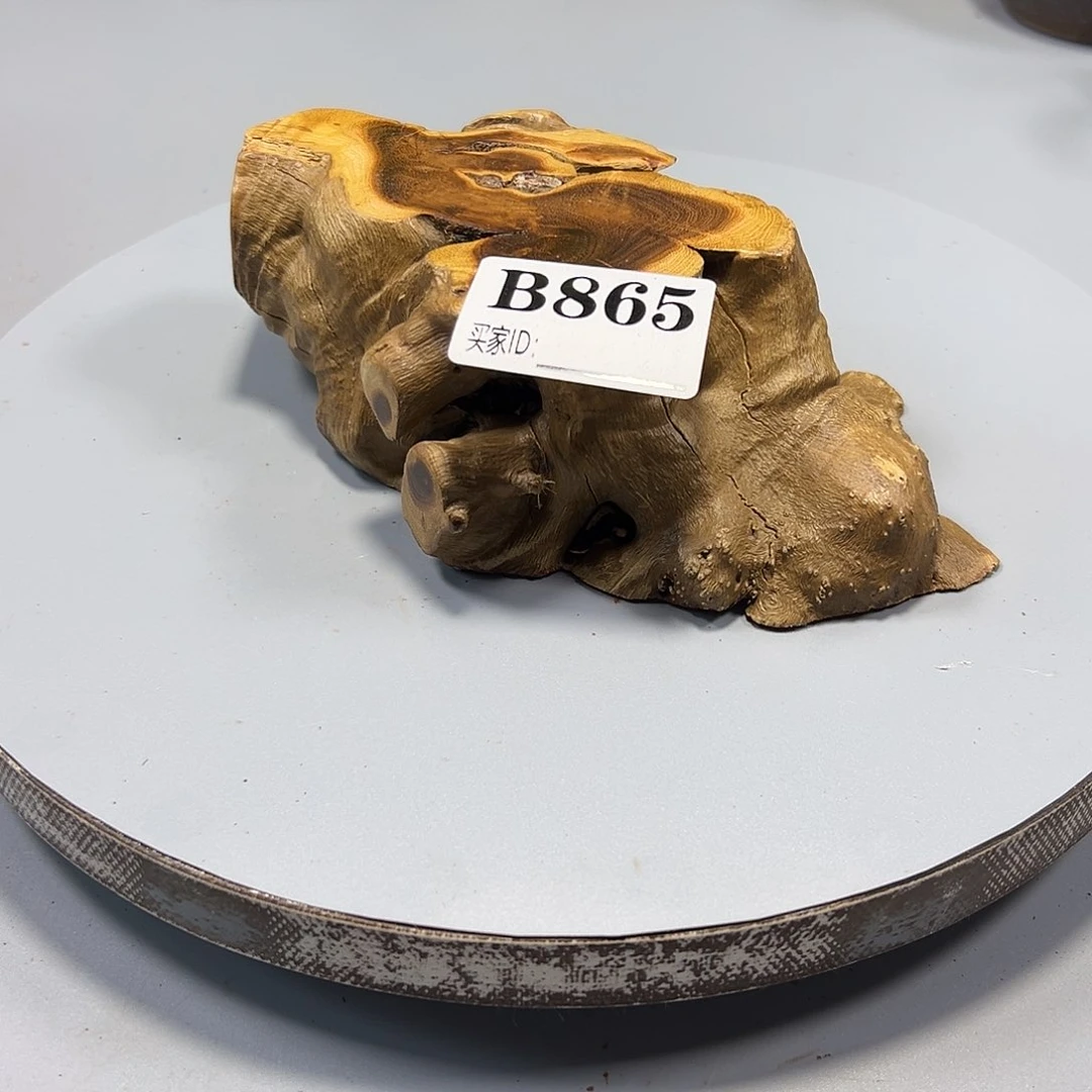 大果紫檀（缅甸花梨）是*是