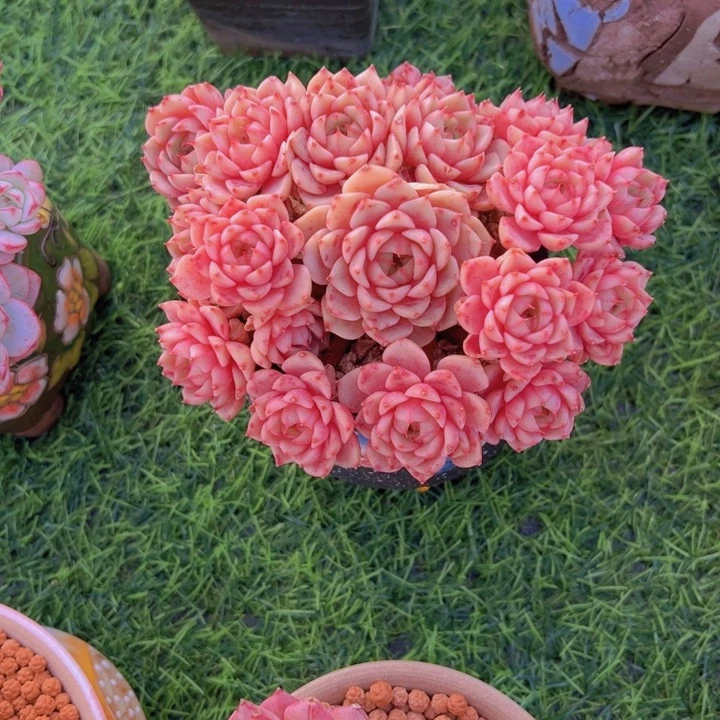 ?**?健健康康平平安安