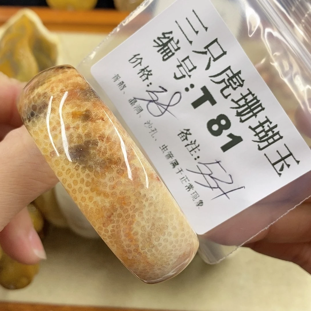 硅化珊瑚（珊瑚玉）1未镶嵌苏*汪