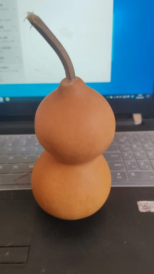 随机小葫芦一把