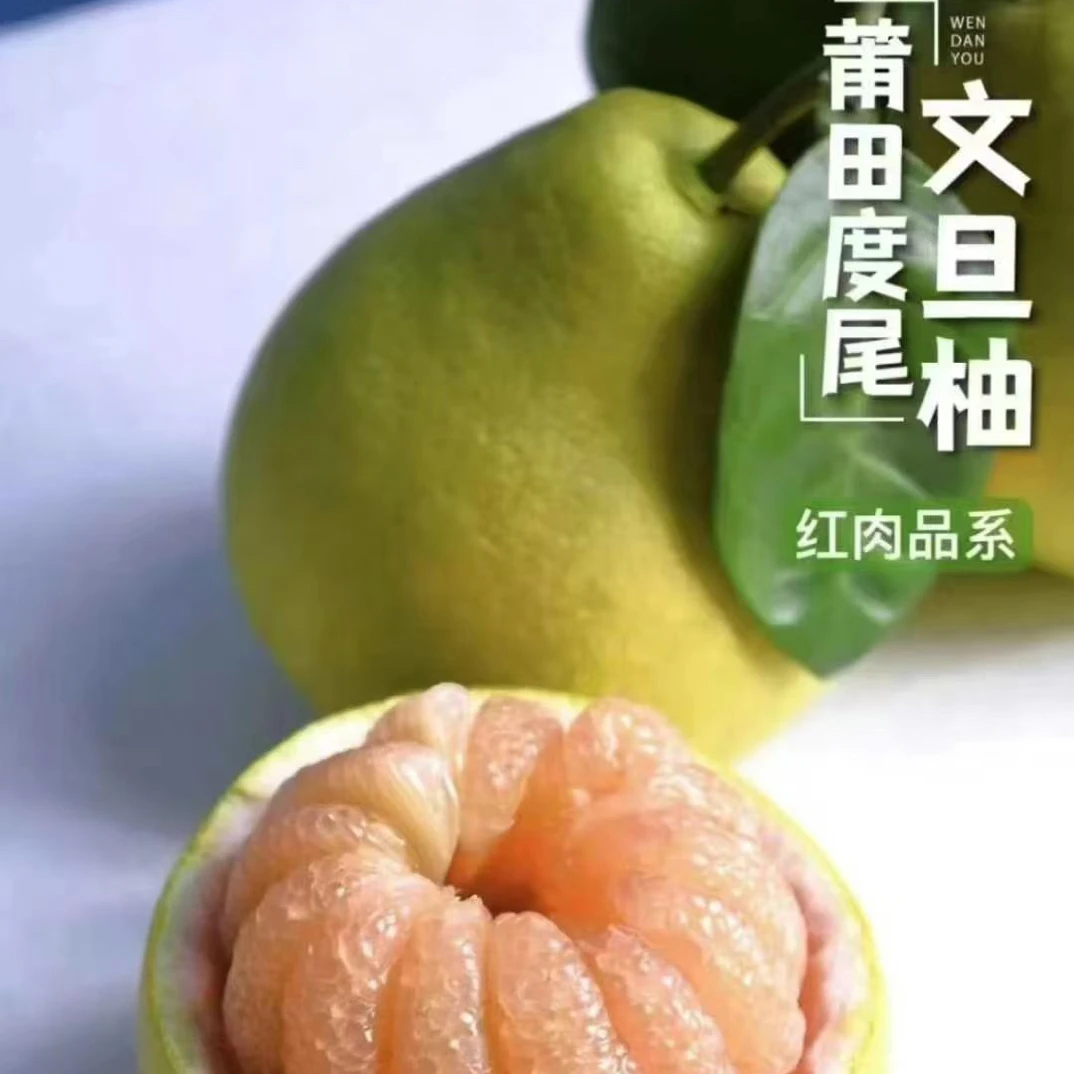 福建仙游度尾文旦柚老树红心蜜柚新鲜当季现摘偏远地区需要加运费