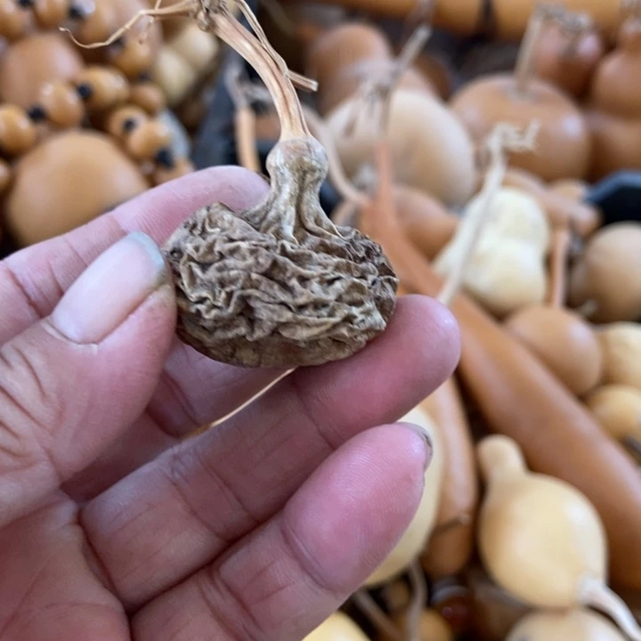 面****?svvzbhbzbsss