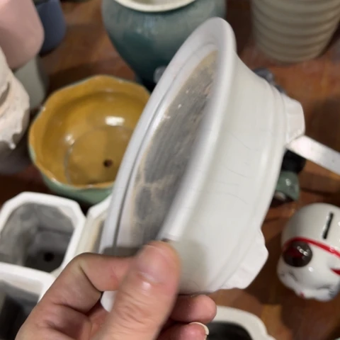 ［所有订单凑满15包邮］