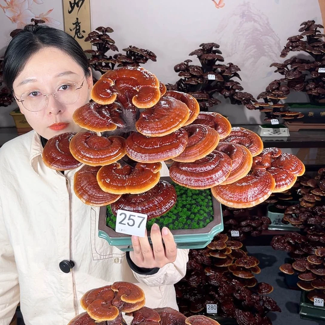 万事如意88888257