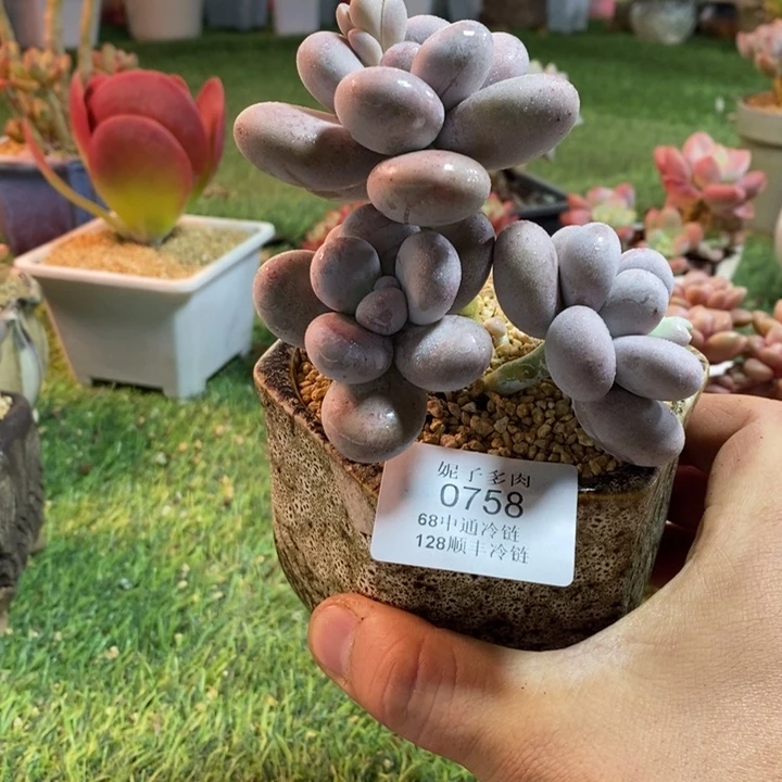 0758啊啊啊啊啊啊啊啊啊