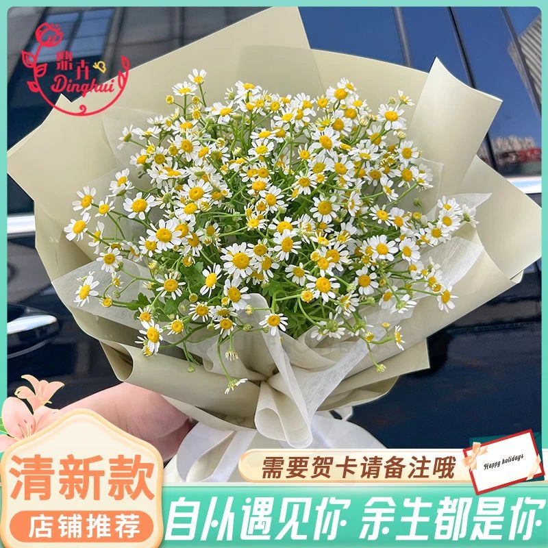 【每周一花日常家居用花】洋甘菊花束插花家居花单枝生活插花1束礼品花