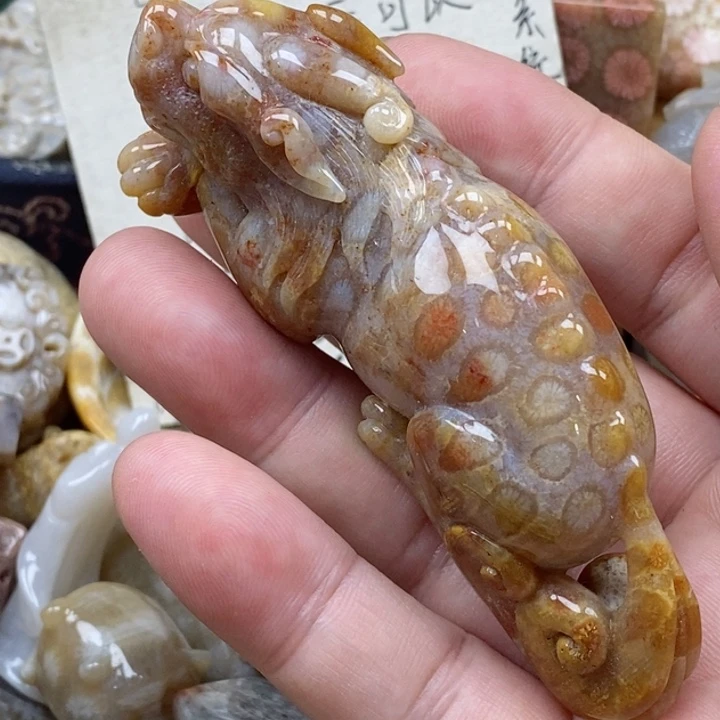 硅化珊瑚（珊瑚玉）未镶嵌颈饰