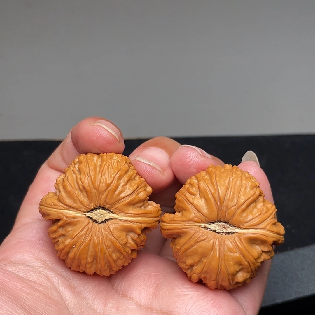 把件猴头核桃37×37精修打底球白狮子头XM3222