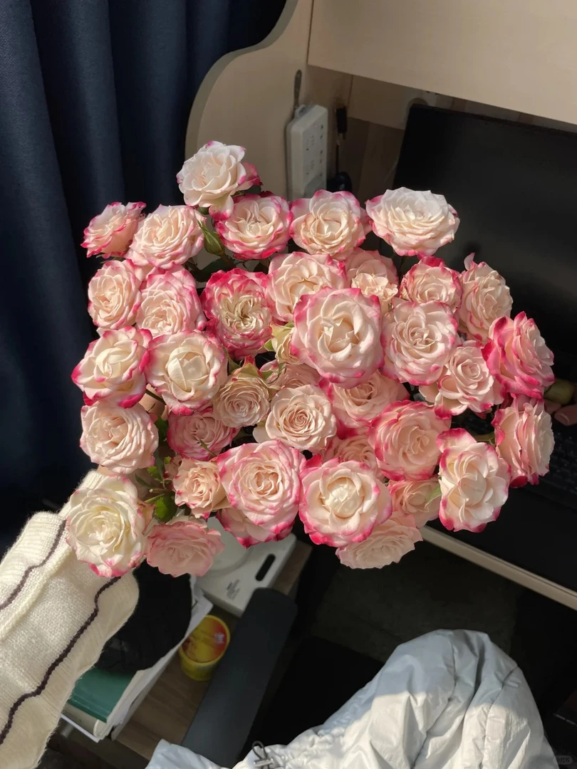 鲜花 多头折射泡泡8只+2只防损  任意两单包邮