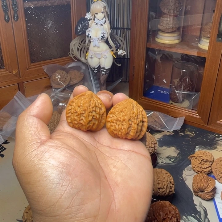 37全品已打底金牛