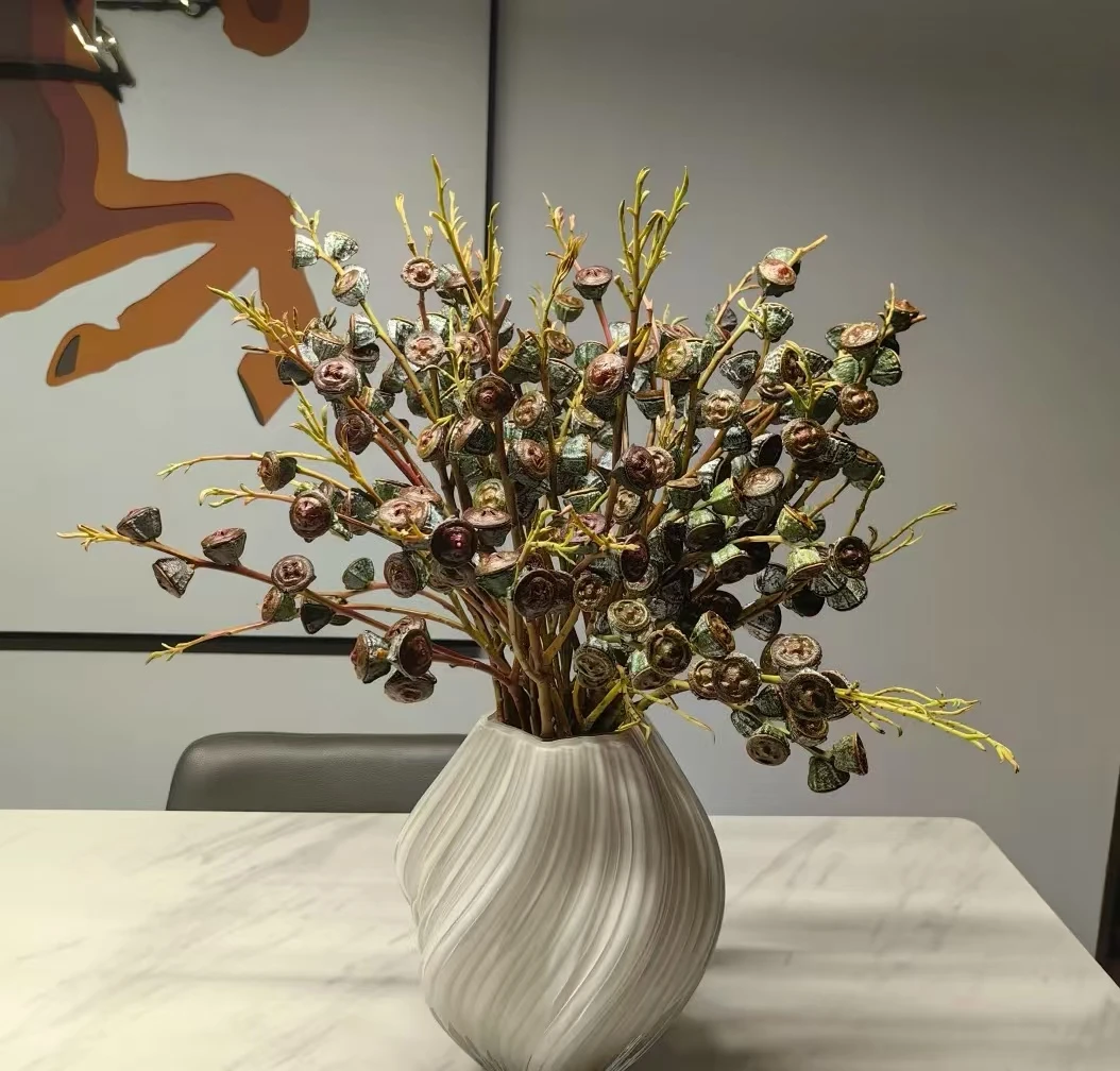 【钻石尤加利老果】红心老果-鲜花可做干花