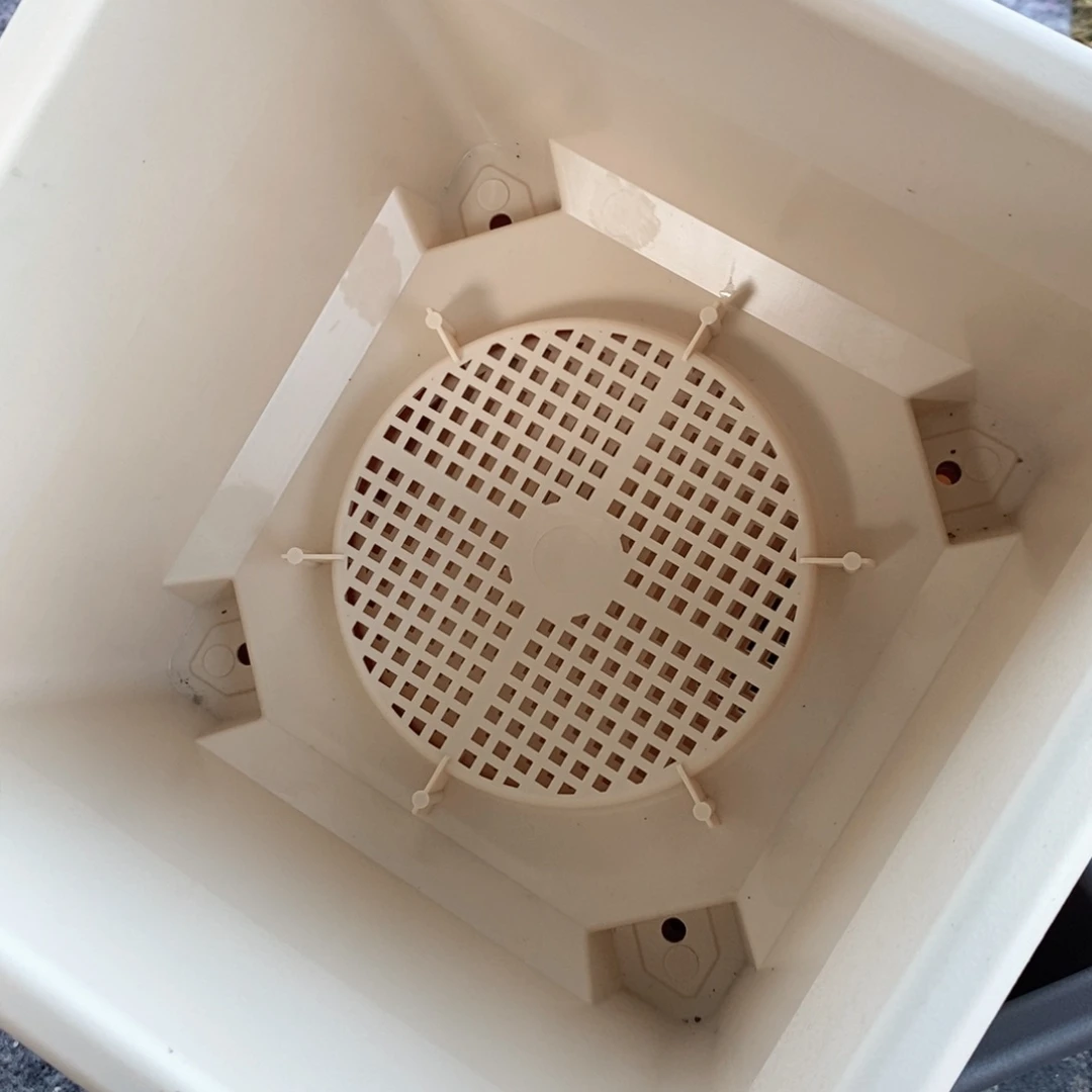 树脂4个米色球根方无托