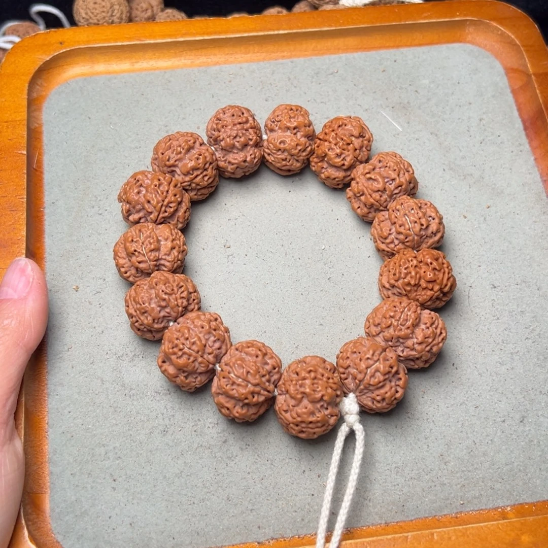 菩提13号金刚菩提原生态23+