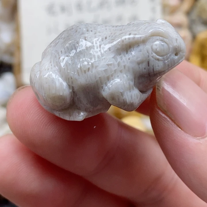 颈饰未镶嵌硅化珊瑚（珊瑚玉）