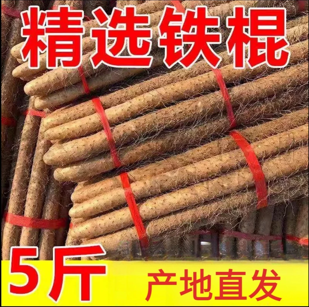 正宗垆土地铁棍山药 新鲜现挖 产地直发 净重五斤装