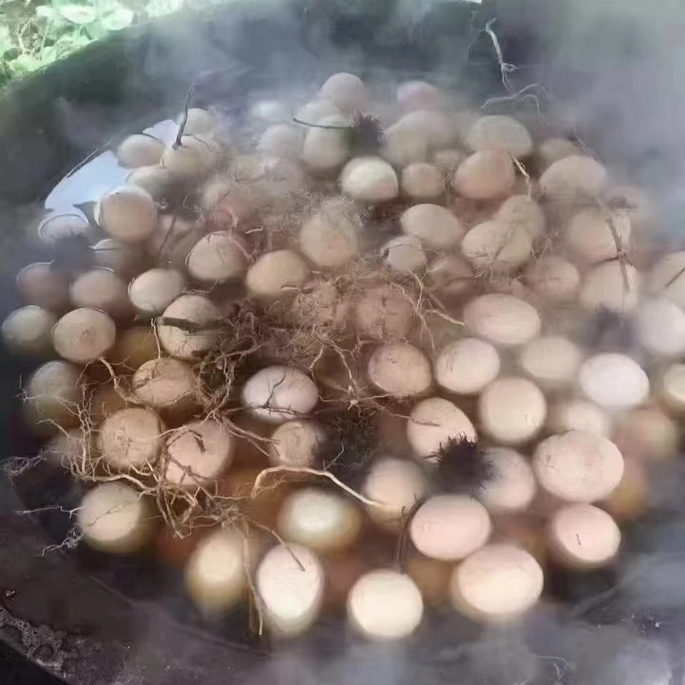 东阳童子蛋 非物质文化遗产春季进补首选