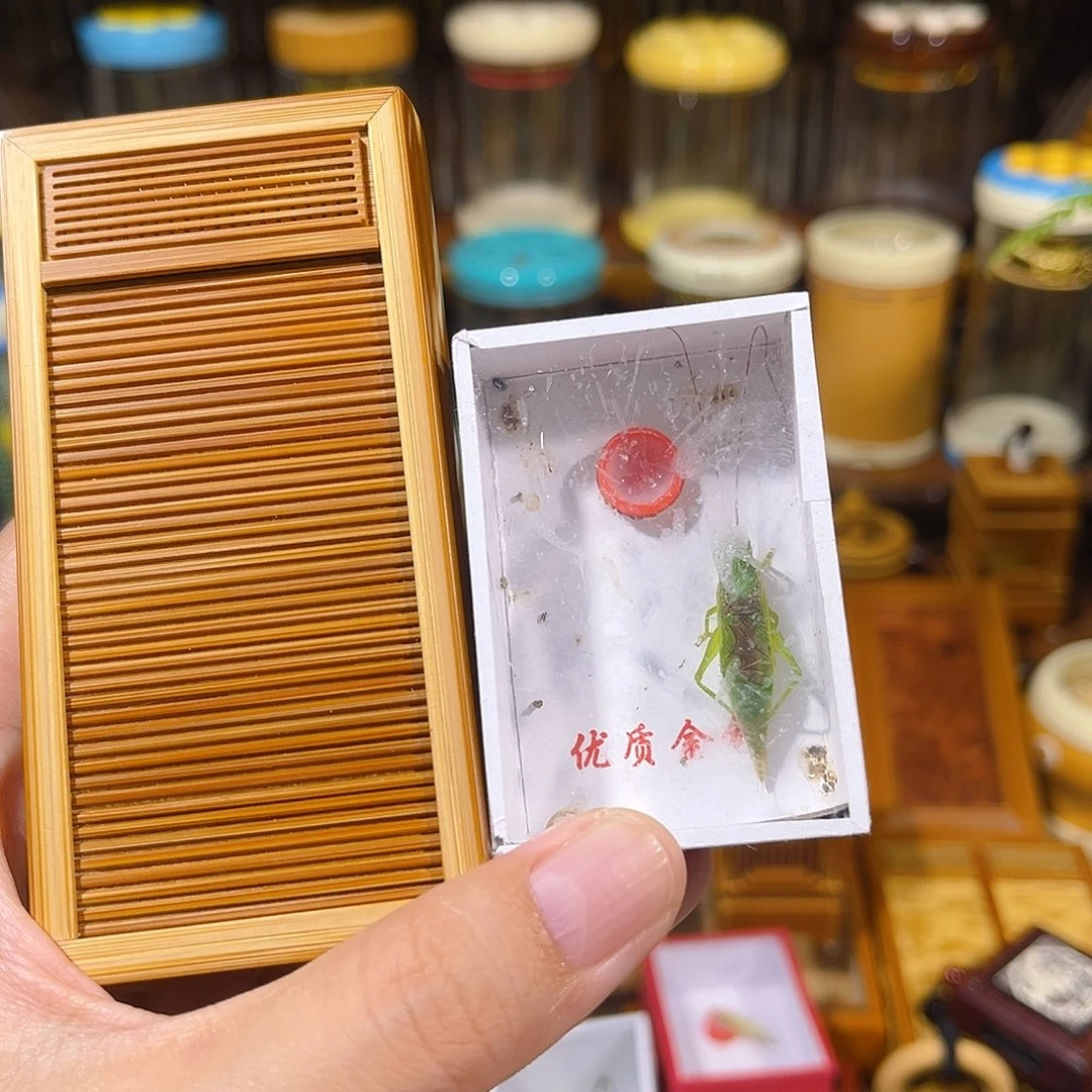 蟋蟀卷帘门竹蛉盒+绿金钟