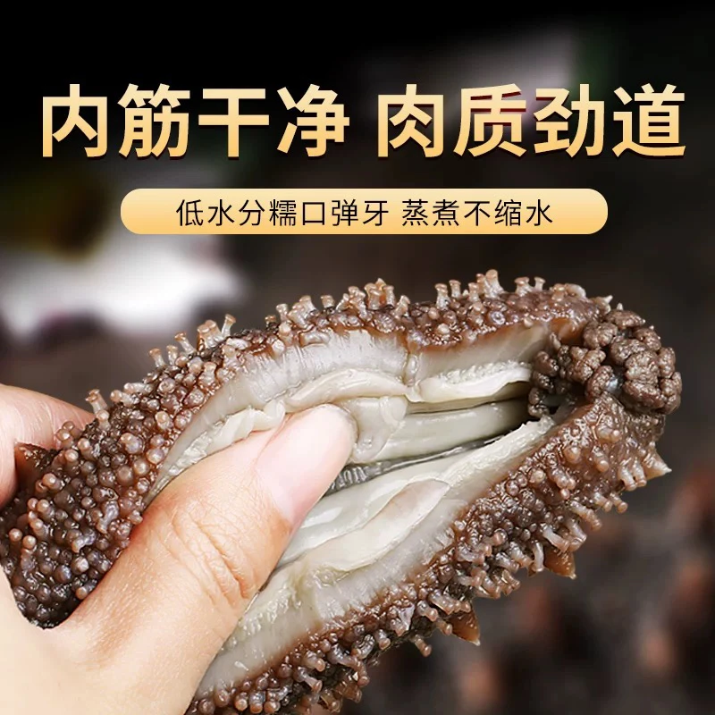 6-10头参王Q弹软糯 即食海参 深海参 真空独立包装