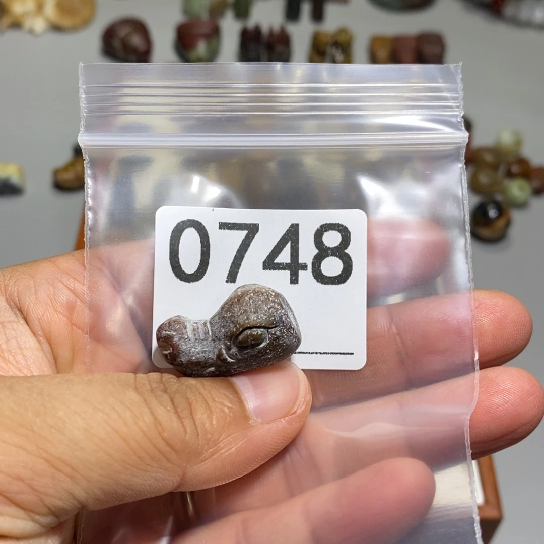 颈饰未镶嵌透闪石质玉超*