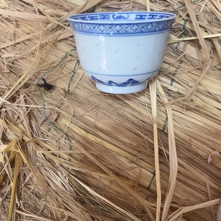 杯我也好可爱的小猫咪呀呜呜