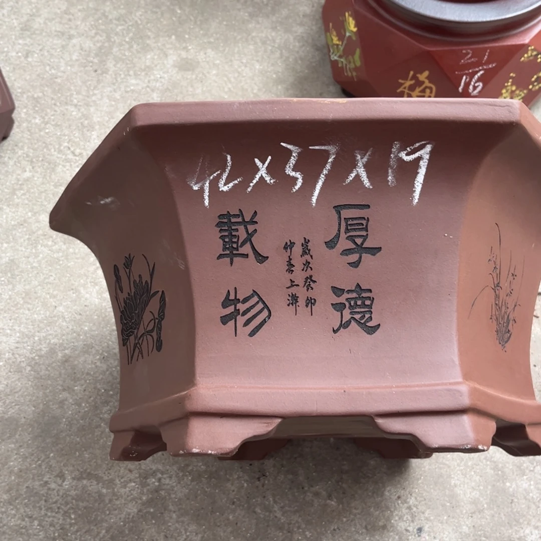 花盆紫砂盆景艺术