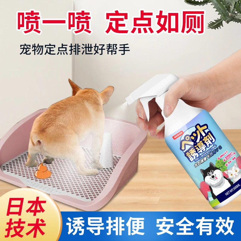 2025新款日文-宠物排便诱导剂500ml大瓶训厕用品宠物驱赶排便