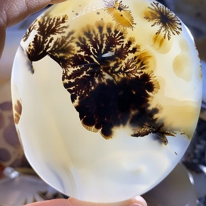 未镶嵌颈饰玛瑙/玉髓睦*