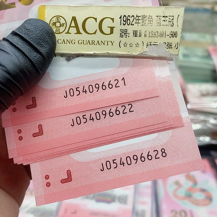 塑料蛇钞8张连号 尾号96621到96628
