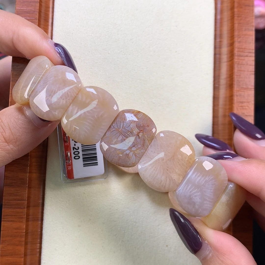 【闪购商品】颈饰未镶嵌硅化珊瑚（珊瑚玉）哇 凤虫龙骨集齐（21号）