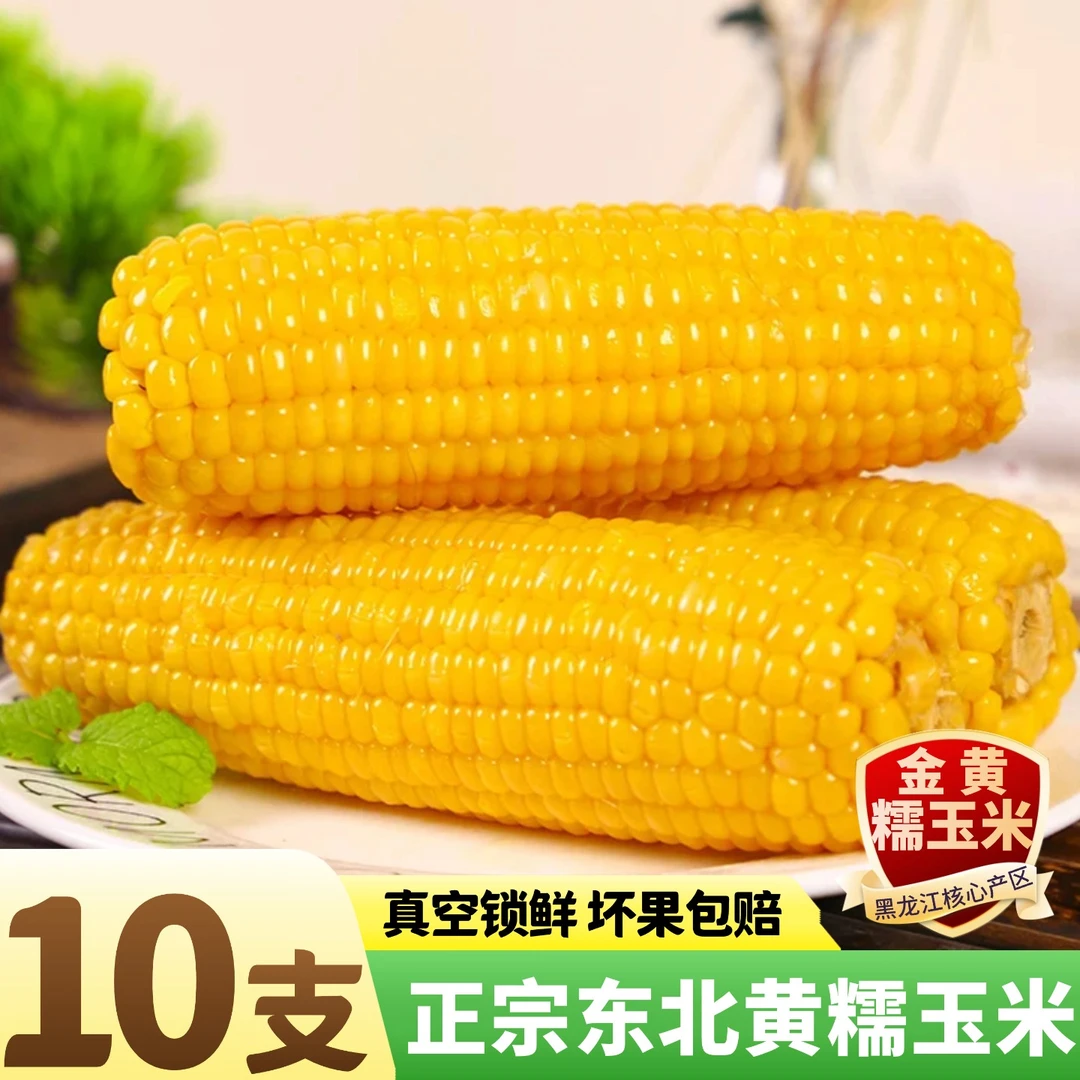 【北纬48度】黄糯玉米10根*200g早餐代餐商超同款真空营养玉米