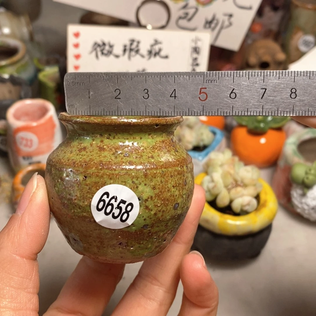 拍5送一个小礼物＇花盆