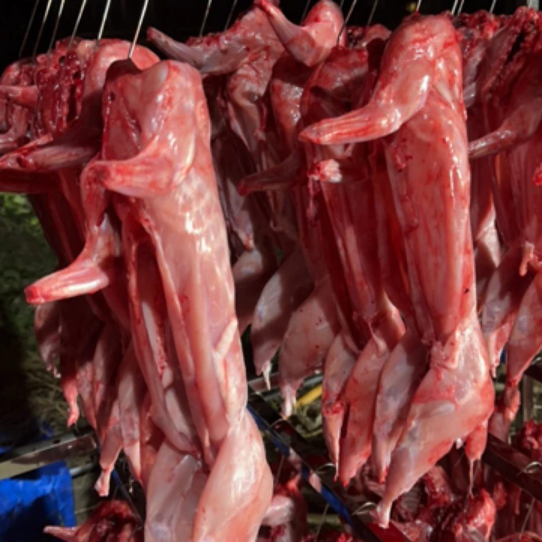 新鲜兔子肉现杀现发去头真空整只快递农家食用兔肉