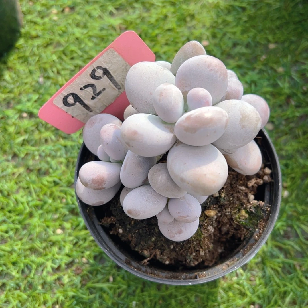 福利来了来了来了来啦