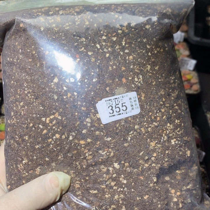 精品生石花215.355