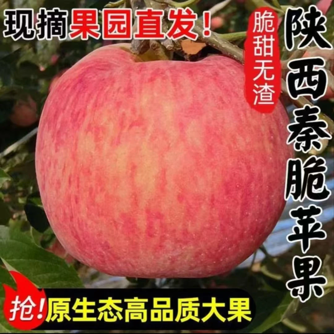 陕西秦脆苹果高端红富士现摘现发产地直发应季新鲜水果脆甜多汁